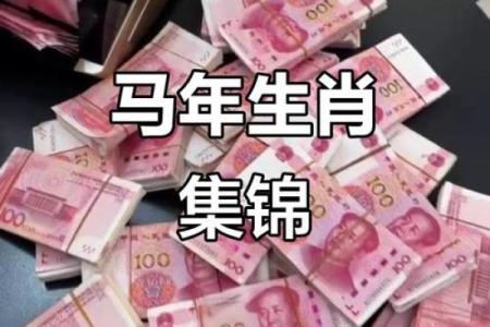 马年运程2014(马年运程2014生肖年运程1978年)