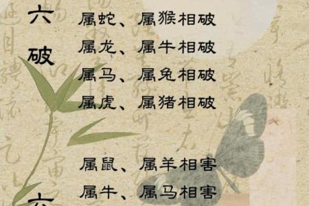 属鼠的三合属相 属鼠的三合属相顺序