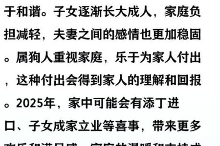 1982年出生的属狗人一生命运如何婚姻和事业详解