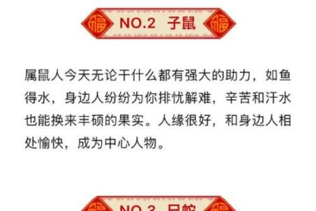 1996年丙子鼠2025年每月运程完整版，几月份会有重大转折需要注意？