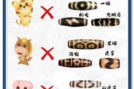 ‌天珠配生肖详解 →‌‌鼠天珠 → 财珠‌（鼠衔钱纹，招财纳库）