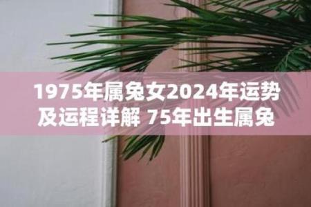 属兔女几月出生最好 1975属兔50岁以后运气如何