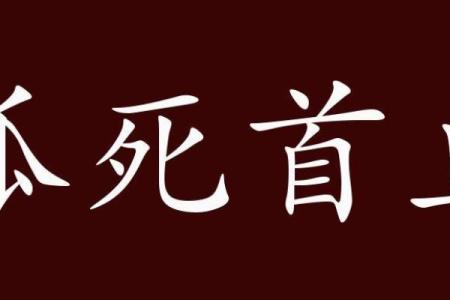 归正首丘是什么生肖(归正首丘归是什么意思)