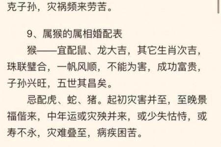 男属鸡女属鼠的婚姻配对是否真的合适，需要注意什么？
