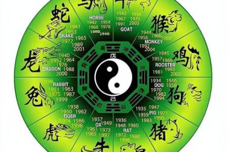 风韵犹存打一个生肖的谜底解析及生肖文化寓意深度探讨