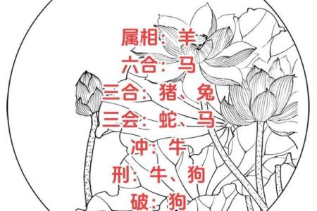 男狗与女鼠属相合不合 男狗和女鼠的属相合不合