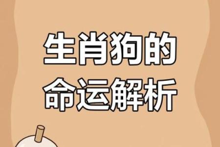 怕三怕四”具体指的是哪个生肖？它的性格特点和运势如何解析？