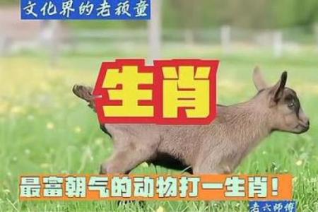 六月飞霜打一生肖