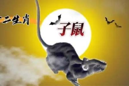 皮里阳秋是什么生肖