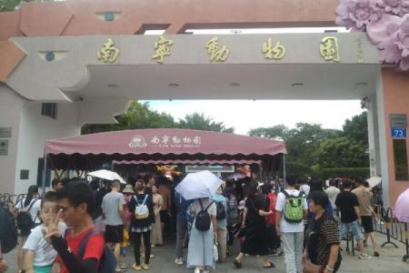 人山人海打一正确生肖(人山人海打一正确生肖动物)
