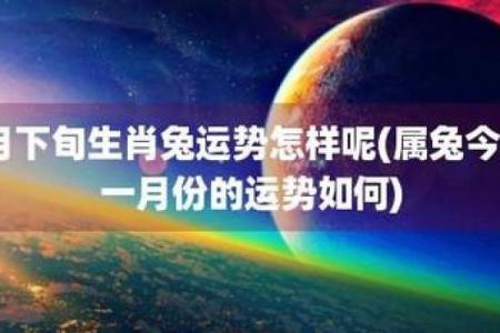 神机妙算打一正确生肖 神机妙算最准确生肖