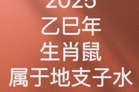 1972年出生的女鼠人今年健康运程与得把眼睛擦亮了分析