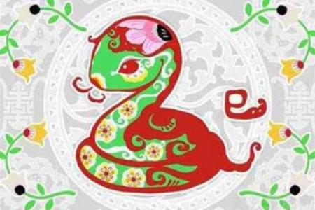 2019是什么生肖年