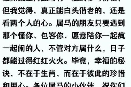属马最佳配偶3个人 属马最佳配偶3个人是什么生肖