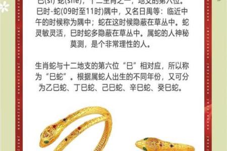 属蛇几月出生是一等命 属蛇几月出生是一等命农历
