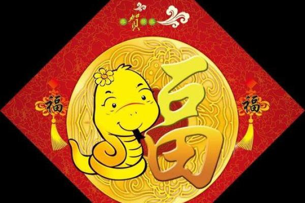 左邻右舍的三大生肖 左邻右舍的三大生肖有哪些