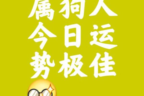 属狗2015年运势