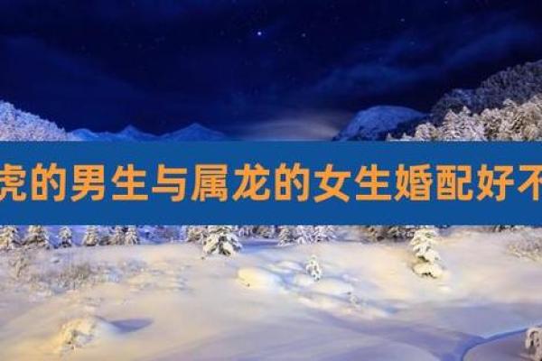 属相龙和虎 属相龙和虎婚配怎么样