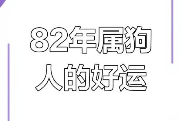 1982年属狗人2025年的幸运颜色是什么意思