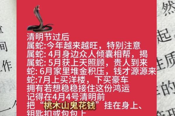 属蛇的不能和属什么的一起 属蛇不可以和什么生肖