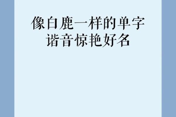 属蛇不能用的字 属蛇不能用的字取名