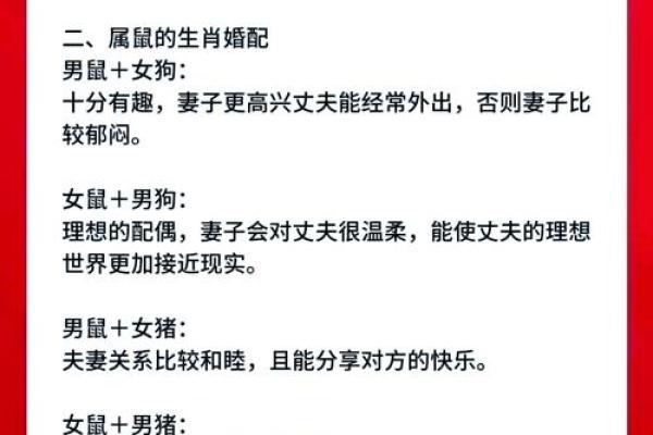 鼠和鼠的属相在婚姻配对中是否真的合适？