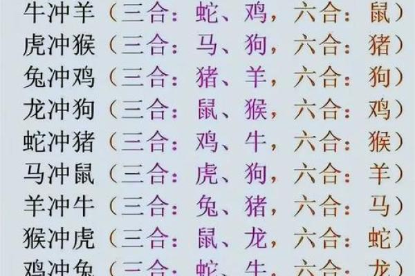 子午相冲在生肖配对中具体会产生什么影响和后果？