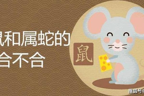 鼠和蛇的属相合不合 鼠和兔的属相合不合