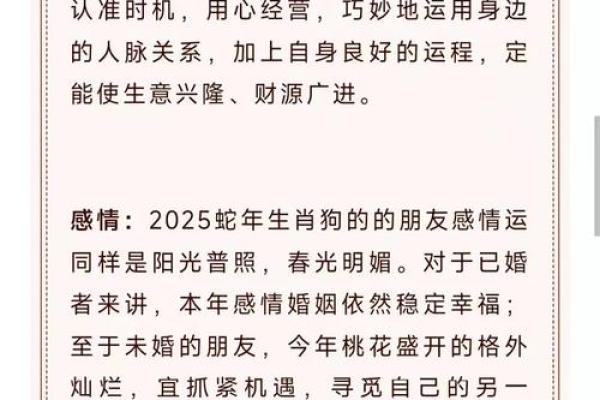 神机妙算开过什么生肖最新最准的预测结果哪里能查到？