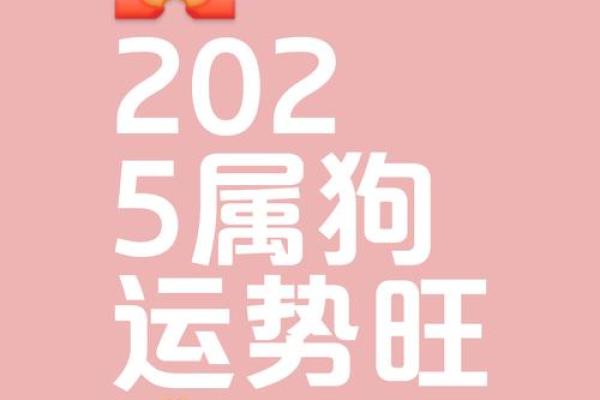 属狗人2025年运势大爆发具体表现在哪些方面该如何提前准备