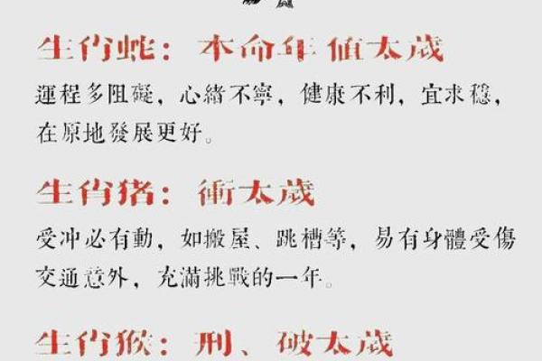 属狗人2025年运势大爆发具体表现在哪些方面该如何提前准备