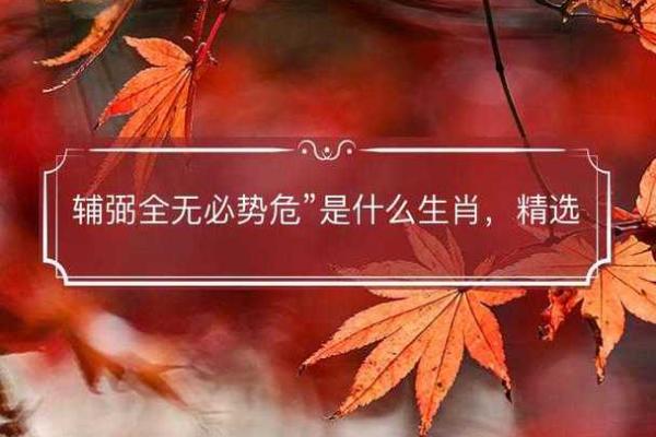 装腔作势是什么生肖(装腔作势是什么生肖)