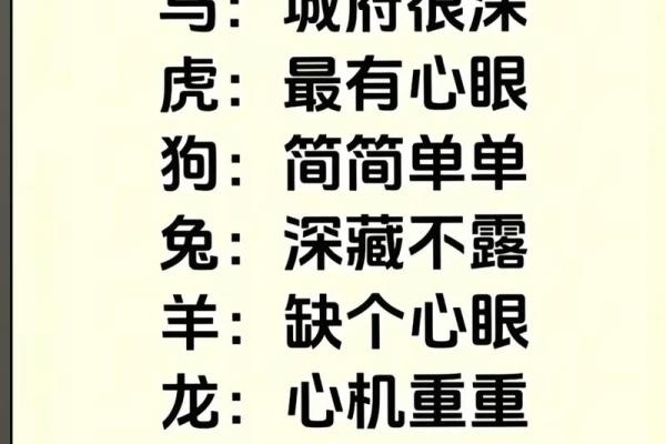 情深似海打一个生肖(情深似海,猜生肖)
