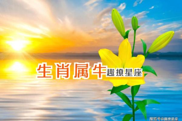 徒劳无功是什么生肖(徒劳无功是哪个生肖)