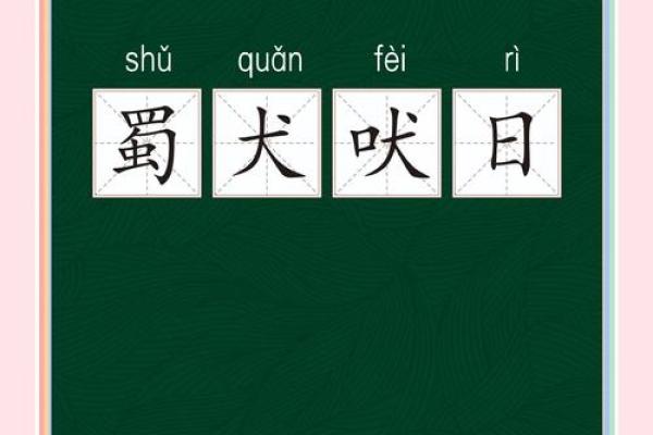 邑犬群吠打一肖动物 柴门闻犬吠打一生肖
