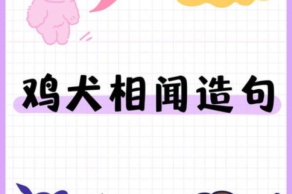 邑犬群吠打一肖动物 柴门闻犬吠打一生肖