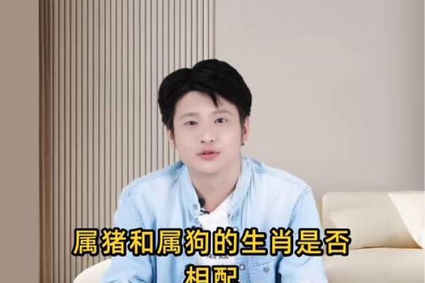 属狗男与属猪女婚配合适吗 属狗男跟属猪女合适做夫妻吗