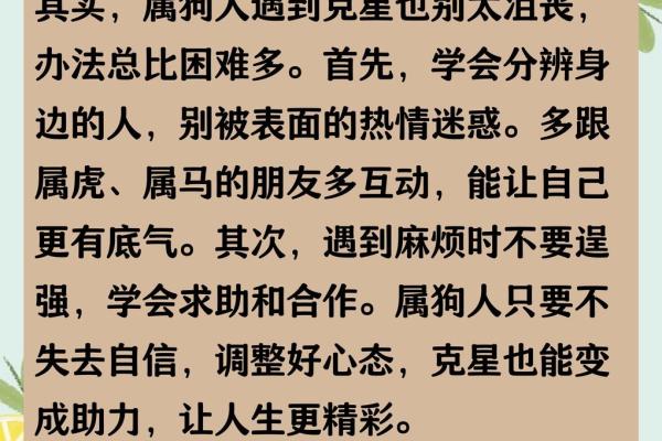 属狗女几月出生有贵人 属狗女几月出生有贵人命