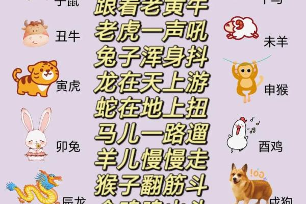 属相是怎么划分的 属相是怎么排列的