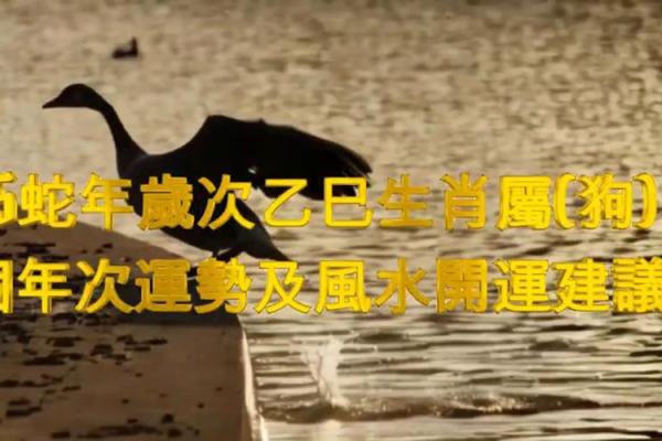 属狗属蛇的属相合不合 属狗的和属蛇的和吗