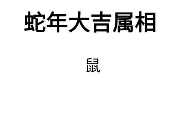 生肖属鼠今日运势详解事业财运健康感情全方位解析