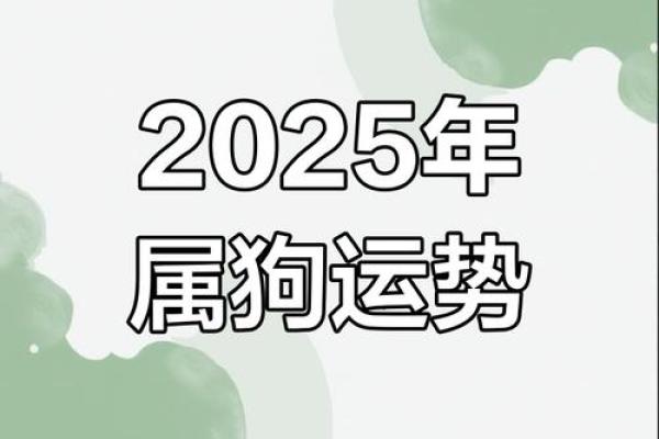 1970年出生的属狗人2025年全年财运和健康运如何