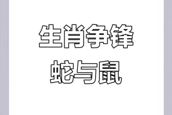 女蛇男鼠属相合不合 女蛇男鼠属相合不合财运