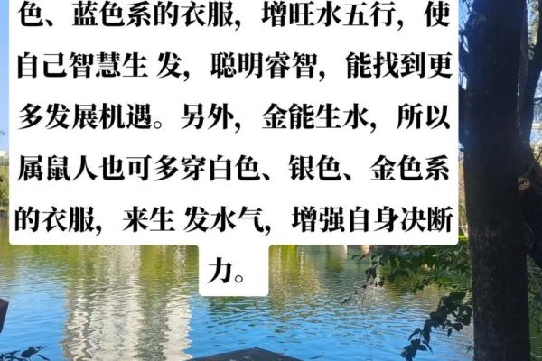 1972年属鼠的人是什么命？五行属性详解与一生命运解析