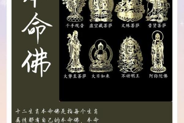 六神无主打一只动物(六神无主打一个生肖)