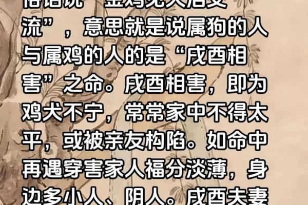 男鸡女狗结婚会幸福吗？属相配对真的影响婚姻吗？