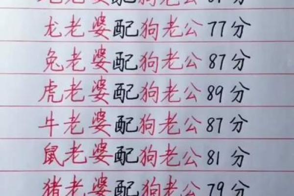 男鸡女狗结婚会幸福吗？属相配对真的影响婚姻吗？