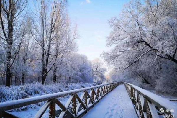 阳春白雪是代表什么生肖(阳春白雪是指哪个生肖) 阳春白雪是代表什么生肖(阳春白雪是指哪个生肖)