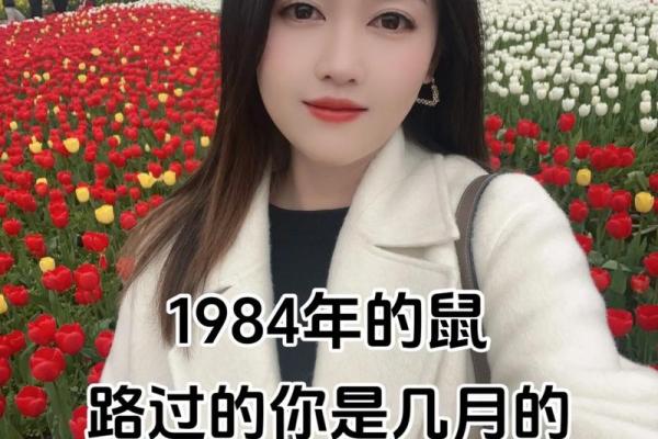 1984年婚配最佳属相 1984年属鼠婚配