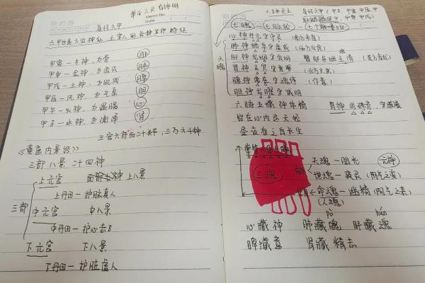 六神无主打一生肖(六神无主打一生肖是什么)